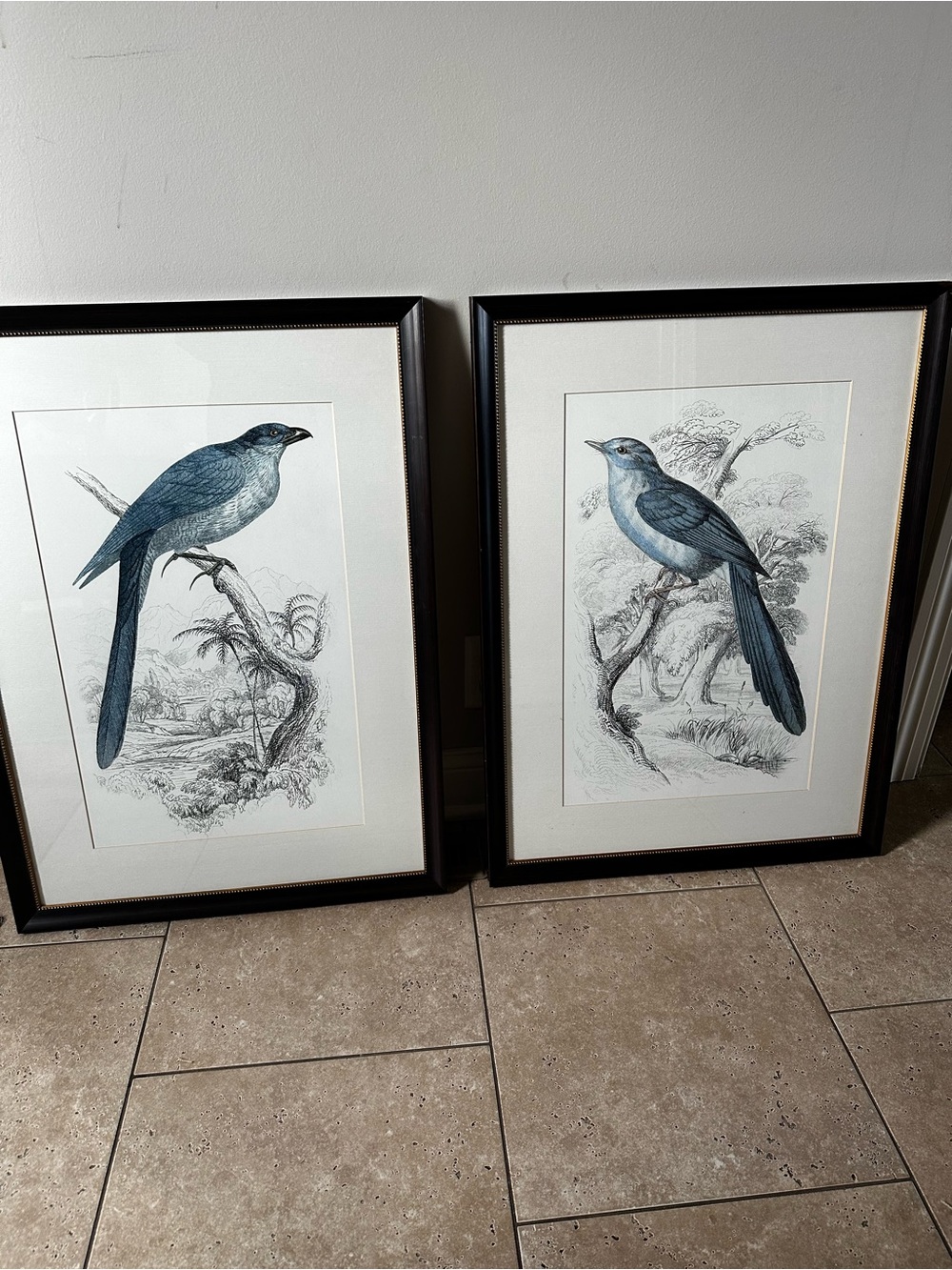 Pottery Barn Framed Blue Bird Print Pair